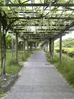 DVC00144.JPG